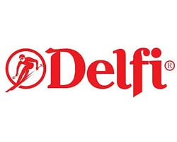 delfi official logo of the company